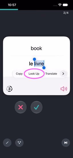 Capture d’écran de Wokabulary sur iPhone, avec la commande Rechercher mise en évidence dans le menu contextuel du texte sélectionné