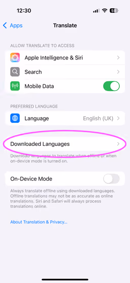 Screenshot of the Translate app settings in iOS System Settings with highlighting on Downloaded Languages