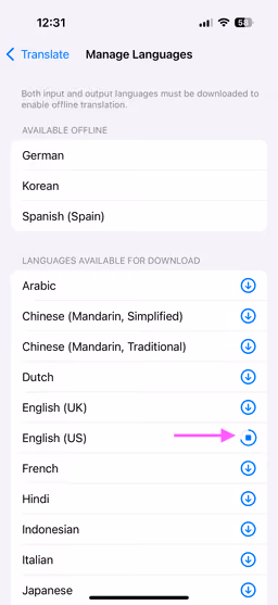 Screenshot of the translation language management view iOS System Settings 