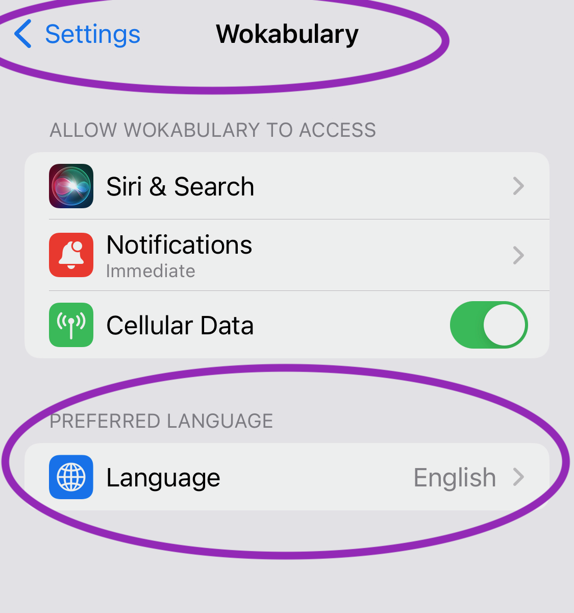 Adjust the language of an app on iPhone and iPad