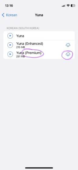 Screenshot of the Voice Settings for Korean Language in iOS System Settings 